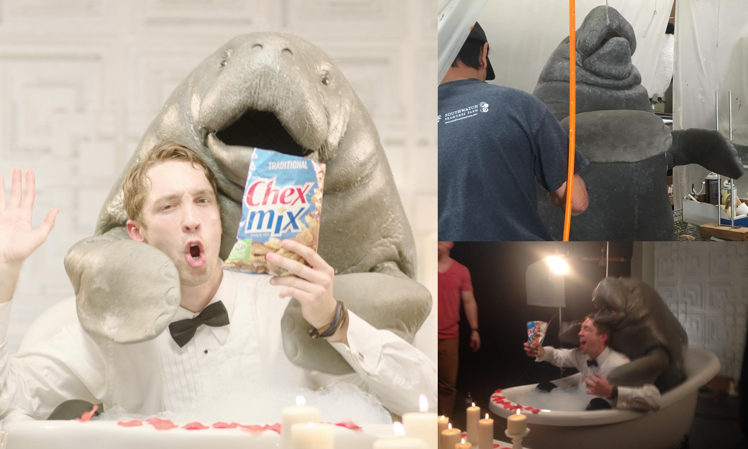 Spexster project work